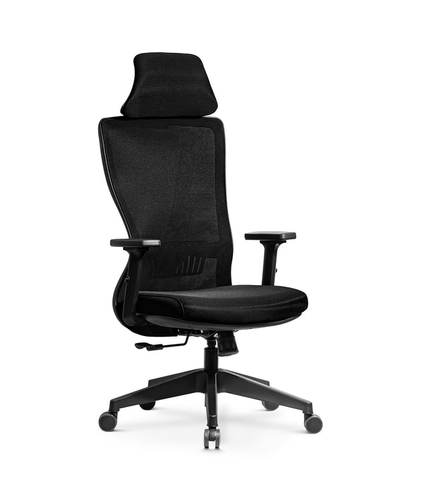 Alya ergonomikus irodai forgószék fejtámasszal, állítható deréktámasszal, dönthető háttámlával