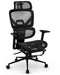 Beresford_ergonomikus_irodai_forgoszek_labtartoval_3-zonas_dinamikus_hattamlaval_fekete_mesh_halo_Deluzzo