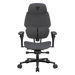 Gamer szék ThunderX3 FLEX Pro - Loft, Szürke