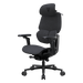 Gamer szék ThunderX3 FLEX Pro - Loft, Szürke