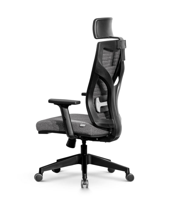 Lion ergonomikus szövet irodai forgószék állítható deréktámasz, emelhető fejtámla, 2D kartámasz