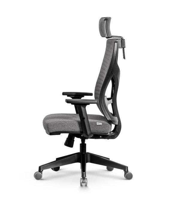 Lion ergonomikus szövet irodai forgószék állítható deréktámasz, emelhető fejtámla, 2D kartámasz