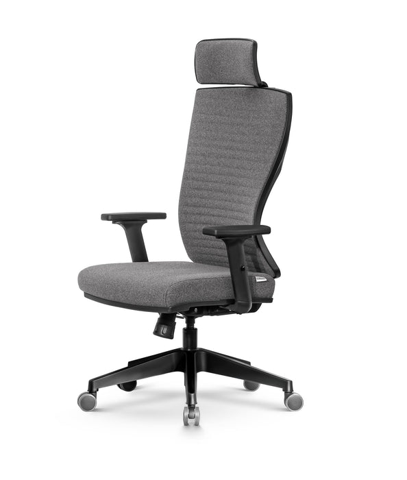 Lion ergonomikus szövet irodai forgószék állítható deréktámasz, emelhető fejtámla, 2D kartámasz